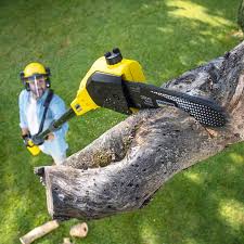 Lawn Watering Services in Granite Bay, CA